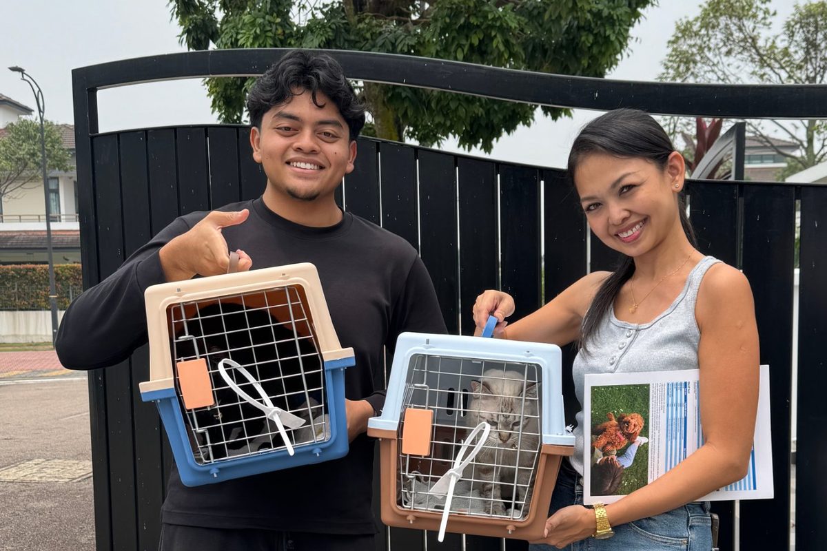 Two cats in travel carriers at a handover outside a house
